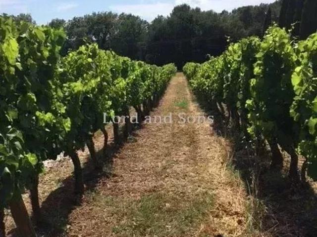 Maison vente à Visan, Le Couvent