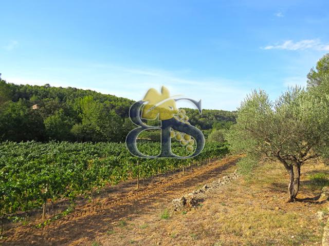 Terrain vente à Arrondissement de Draguignan, Lorgues
