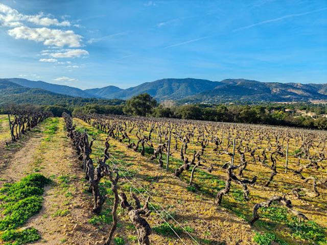 Terrain vente à Arrondissement de Draguignan, Grimaud