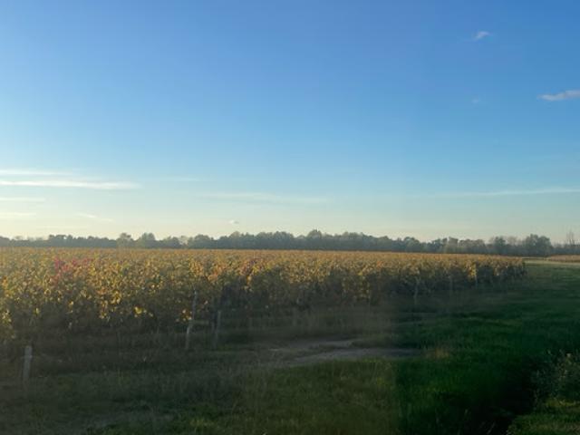 Terrain vente à France métropolitaine, Lussac