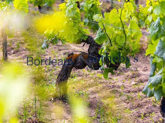 Terrain vente à Bordeaux