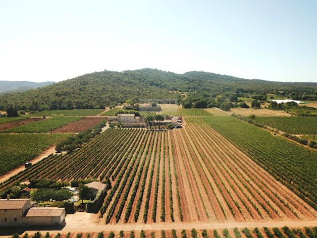 Terrain vente