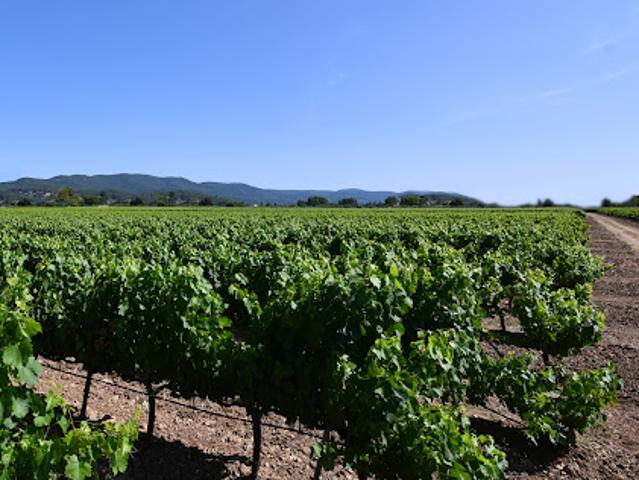 Terrain vente à Arrondissement de Toulon, Pierrefeu-du-var