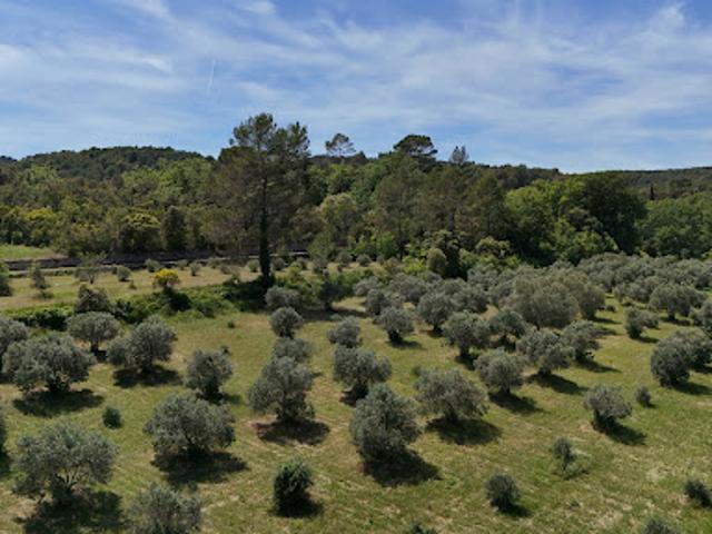 Terrain vente à Arrondissement de Draguignan, Lorgues