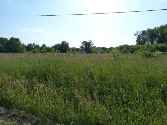 Terrain vente à Vierzon, Vignoux-sur-barangeon