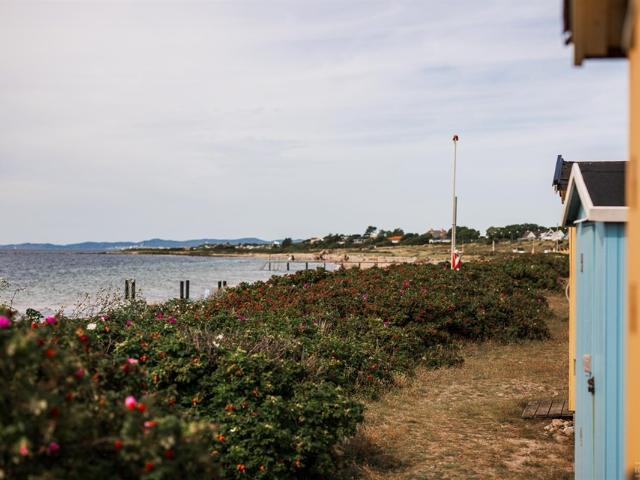 Lägenhet hyra i Viken, Skåne