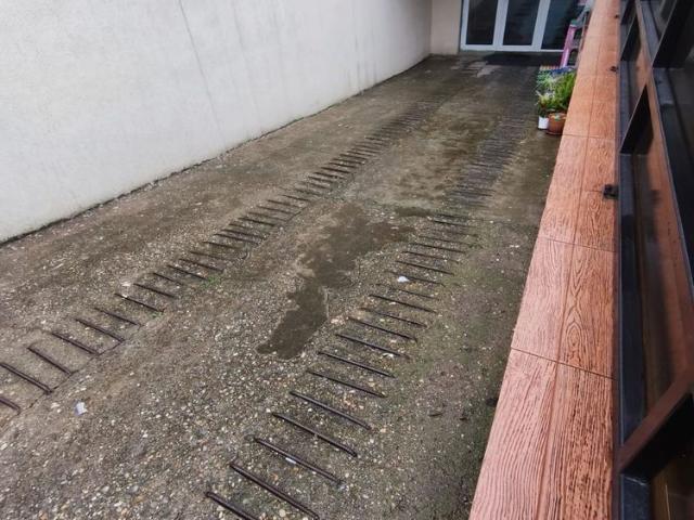 Casă închirieri în Caraş-severin