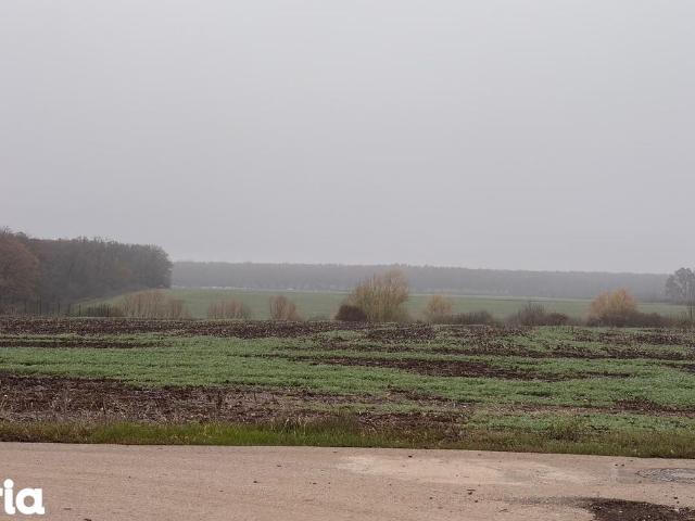 Casă vânzări