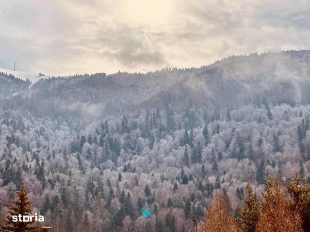 Casă închirieri în Azuga