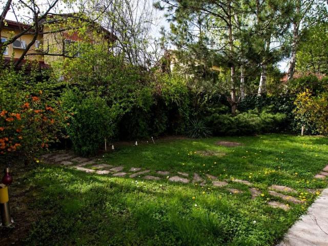 Casă închirieri în Voluntari, București