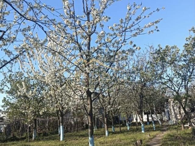 Casă vânzări în Dragomiresti-deal, București