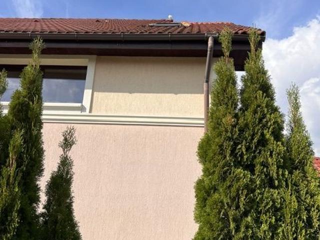 Casă închirieri în București