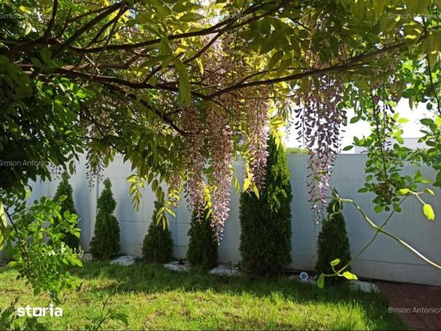 Casă închirieri în Corbeanca, București
