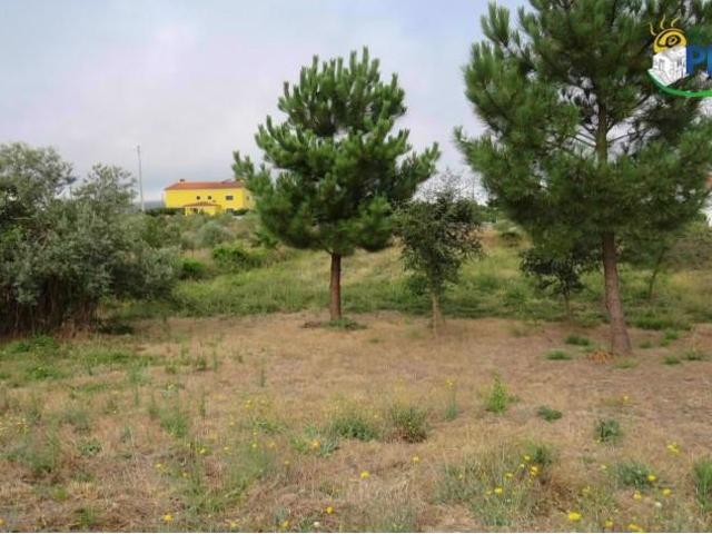 Terreno venda em Castelo Branco, Vila De Rei