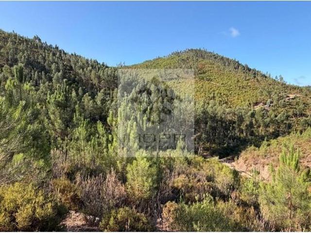 Terreno venda em Castelo Branco, Vila De Rei