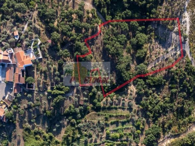 Terreno venda em Castelo Branco, Vila De Rei