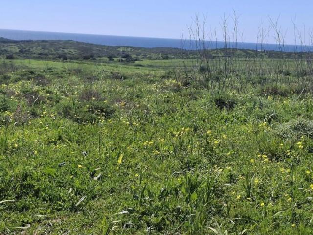 Terreno venda em Vila Do Bispo, Faro