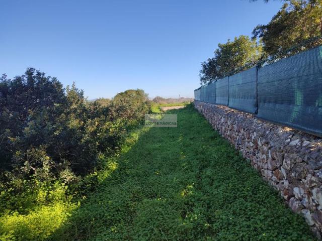 Terreno venda em Vila Do Bispo, Faro