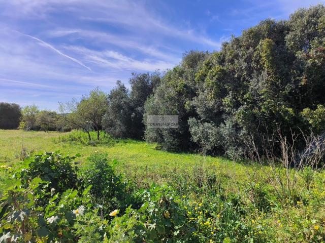 Terreno venda em Vila Do Bispo, Faro
