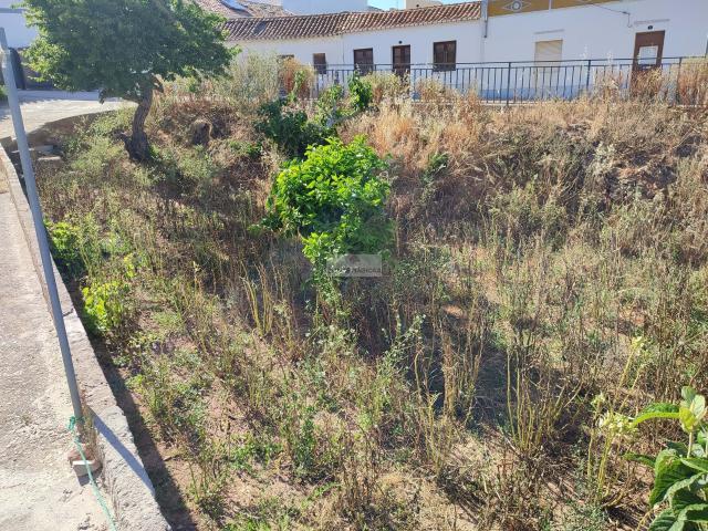 Terreno venda em Vila Do Bispo, Faro