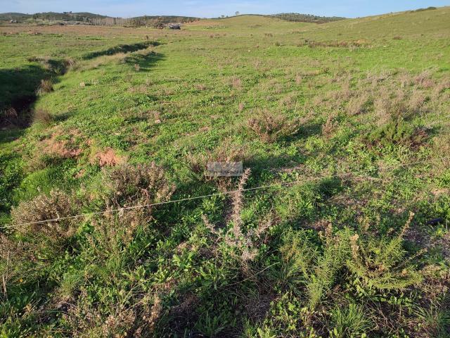 Terreno venda em Vila Do Bispo, Faro