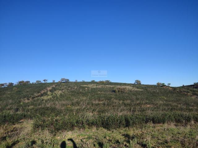 Terreno venda em Vila Do Bispo, Faro