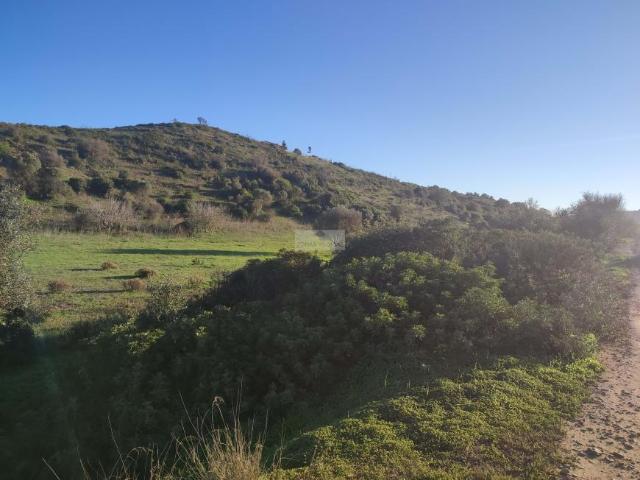 Terreno venda em Vila Do Bispo, Faro