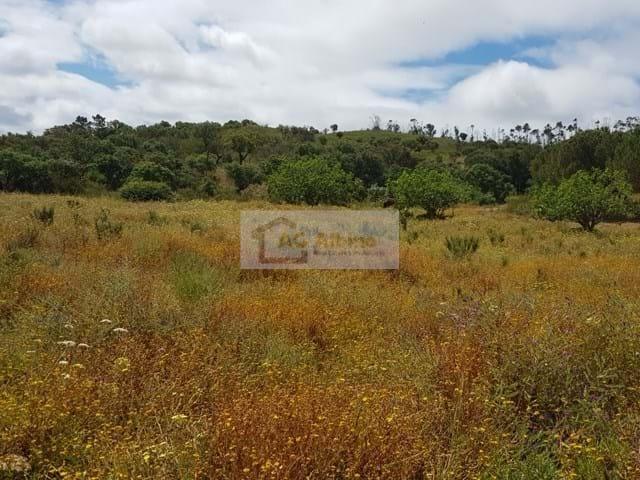Terreno venda em Vila Do Bispo, Faro