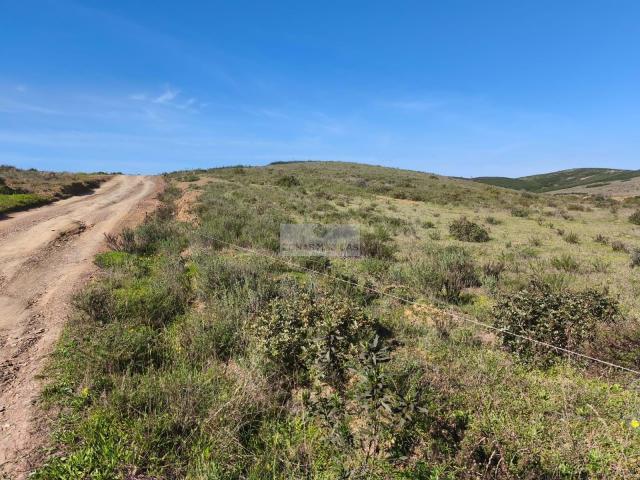 Terreno venda em Vila Do Bispo, Faro
