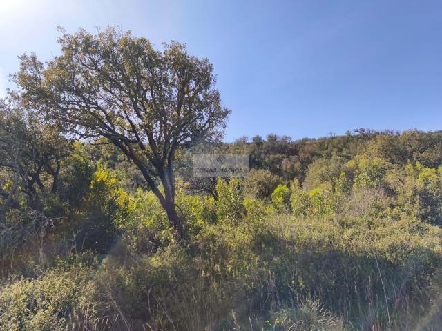 Terreno venda em Vila Do Bispo, Faro