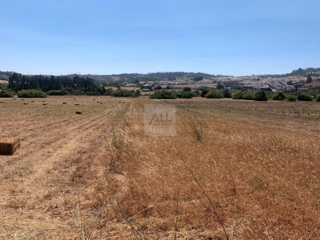 Terreno venda em Vila Do Bispo, Faro