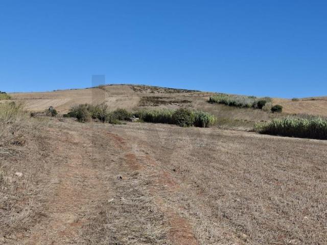 Terreno venda em Vila Do Bispo, Faro