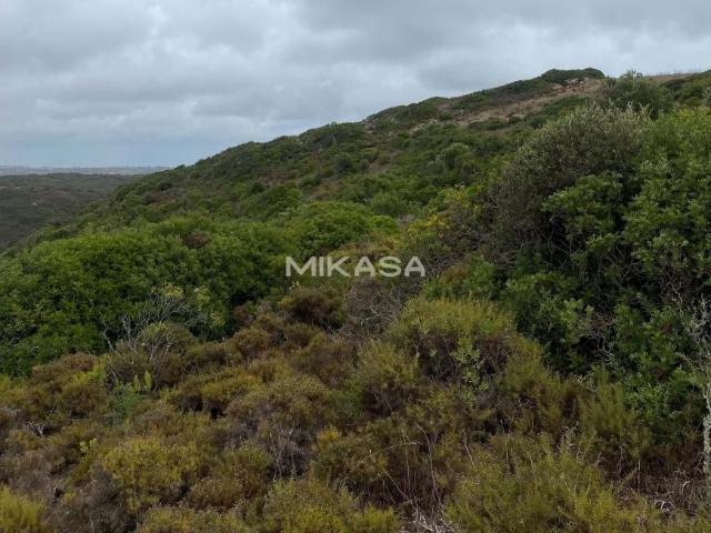 Terreno venda em Vila Do Bispo, Faro