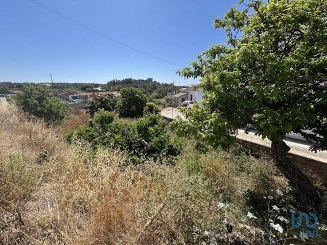 Terreno venda em Vila Do Bispo, Faro