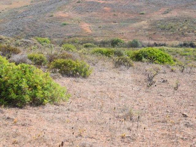 Terreno venda em Vila Do Bispo, Faro