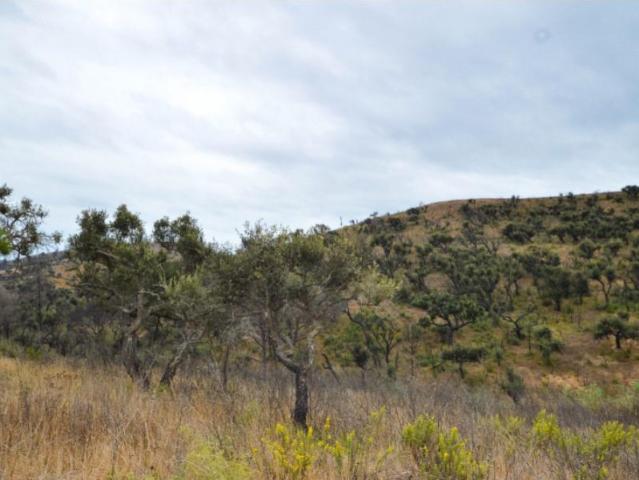 Terreno venda em Vila Do Bispo, Faro