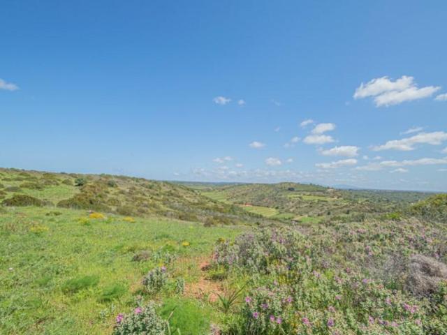 Terreno venda em Vila Do Bispo, Faro