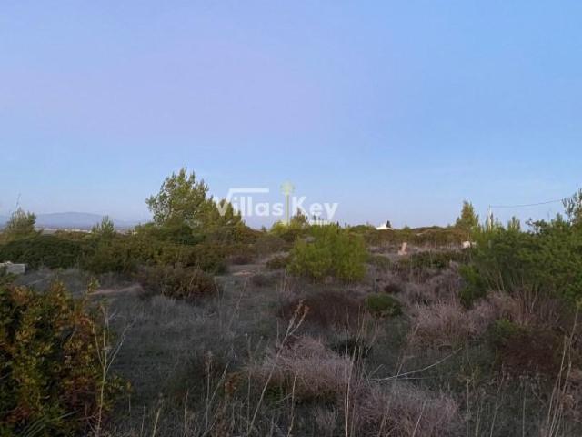 Terreno venda em Vila Do Bispo, Faro