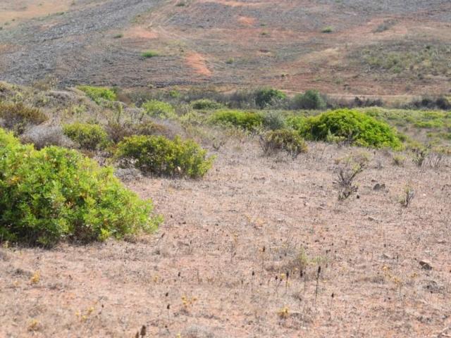 Terreno venda em Vila Do Bispo, Faro