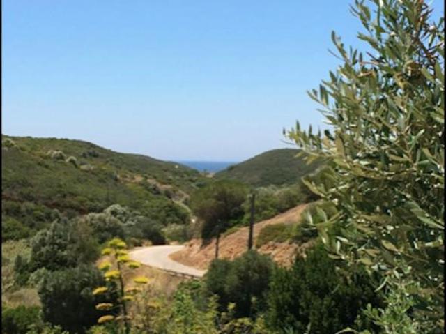 Apartamento alugar em Vila Do Bispo, Faro