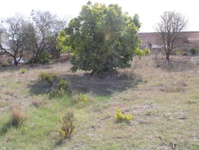 Terreno venda em Vila do Bispo, Faro