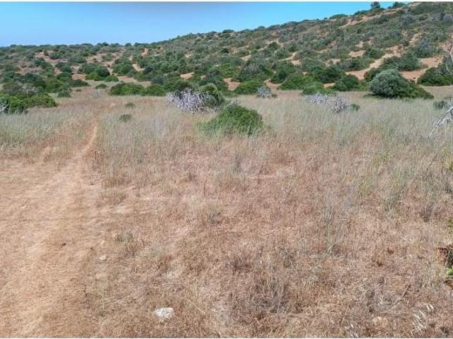 Terreno venda em Vila Do Bispo, Faro
