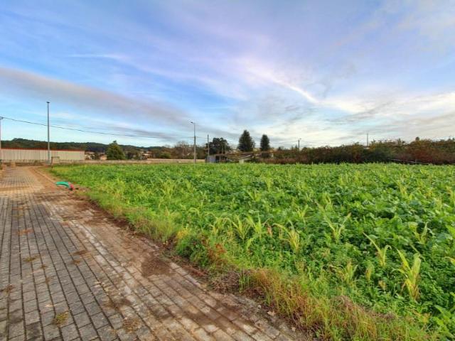 Terreno venda em Vila Do Conde, Porto
