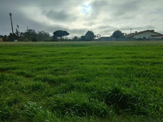 Terreno venda em Vila Do Conde, Porto