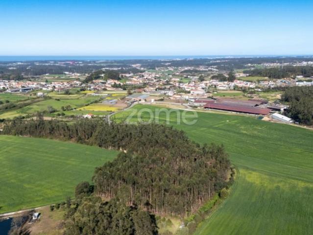 Terreno venda em Vila do Conde
