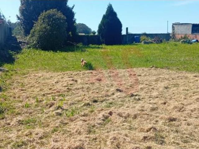 Terreno venda em Vila Do Conde, Porto