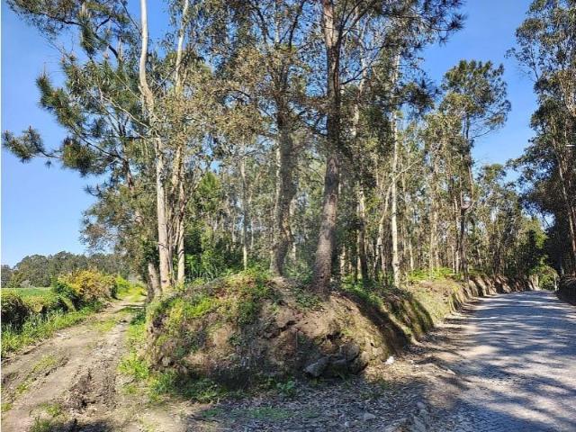Terreno alugar em Vilar e Mosteiró, Vila Do Conde