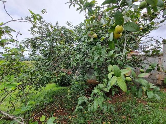 Terreno venda em Região Imediata de Bragança Paulista, Atibaia