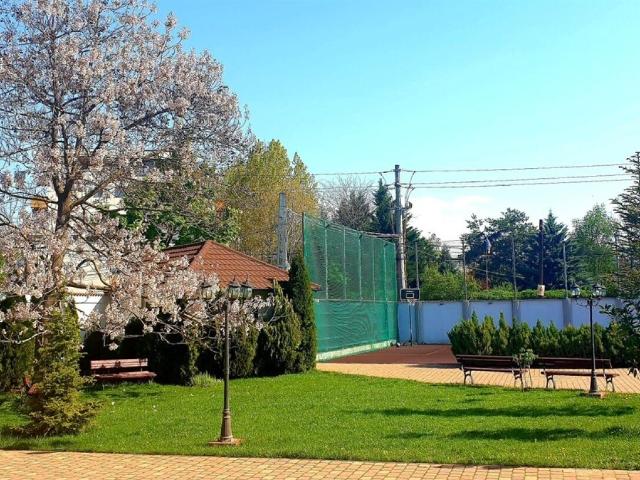 Casă închirieri în Voluntari, București