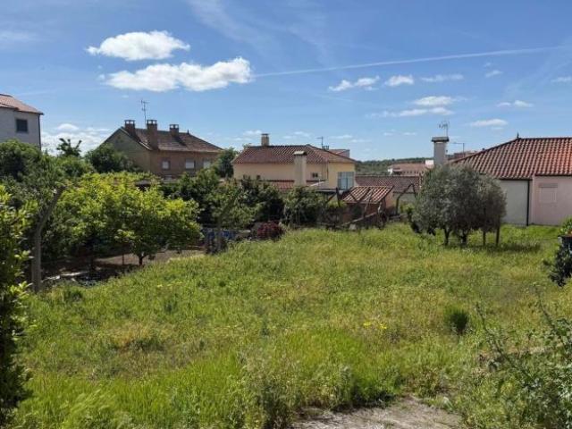 Terreno venda em Vila Flor, Bragança